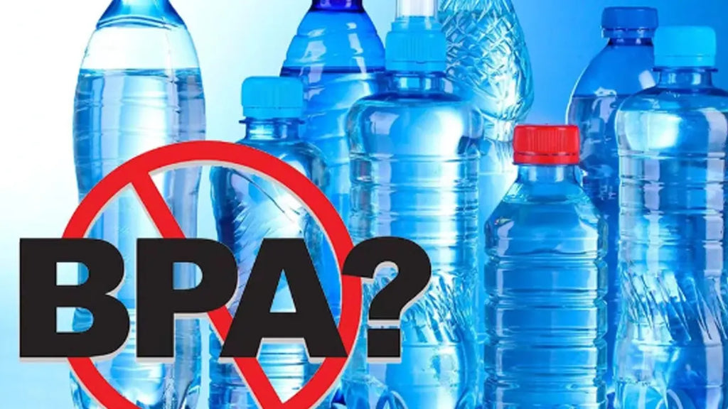 What Does BPA-Free Mean? Understanding BPA